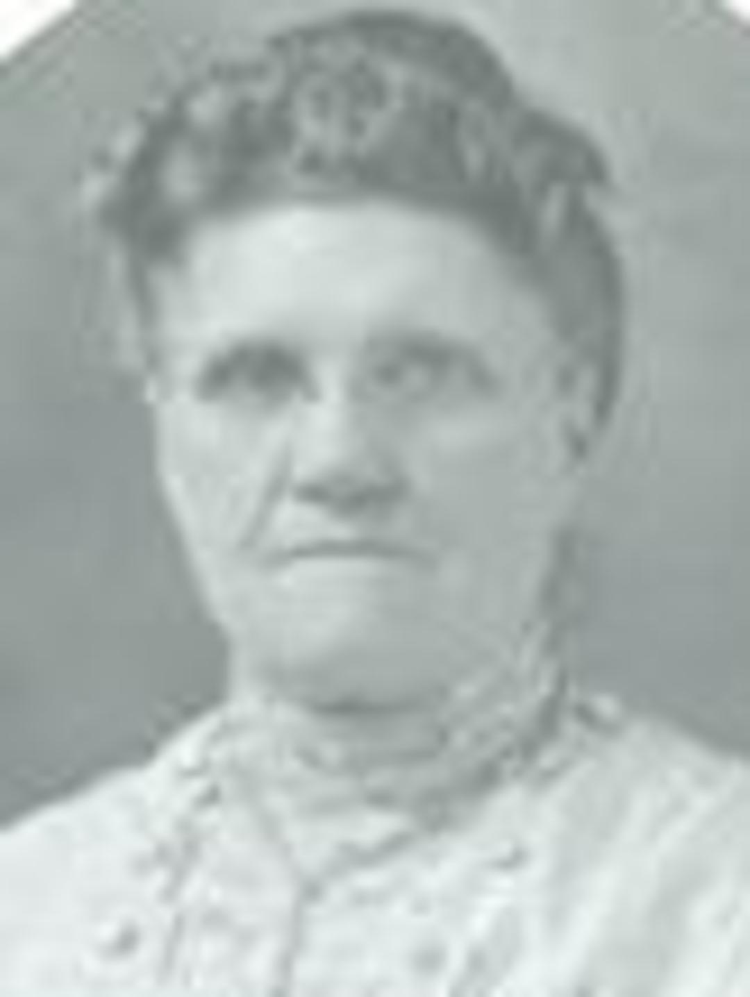 Priscilla Pitt (1846 - 1930) Profile